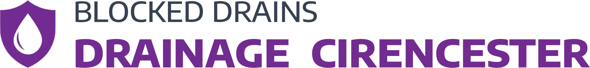 website logo